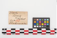 Etiketten zu Eisenlanzenspitze (NHMW-PRAE-024032)